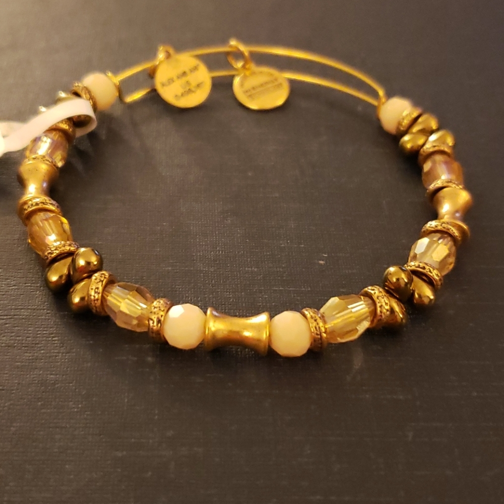 Alex and Ani Bracelet